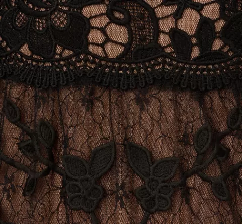 Adrianna Papell Lace Embroidered V Neck Dress With Elbow Sleeves In Black Nude BLACK-NUDE Clearance