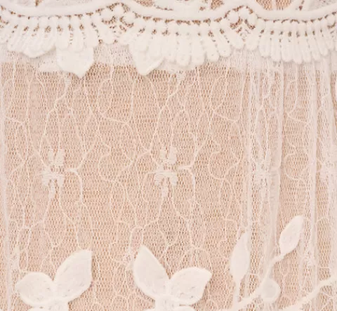 Adrianna Papell Lace Embroidered V Neck Dress With Elbow Sleeves In Ivory Nude IVORY-NUDE Best