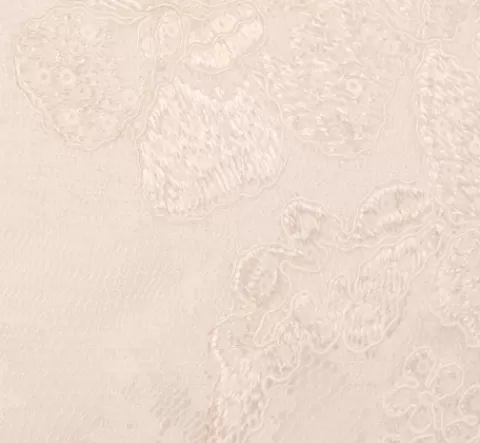 Adrianna Papell Sleeveless Floral Lace Dress With Feather Trim In IVORY Cheap